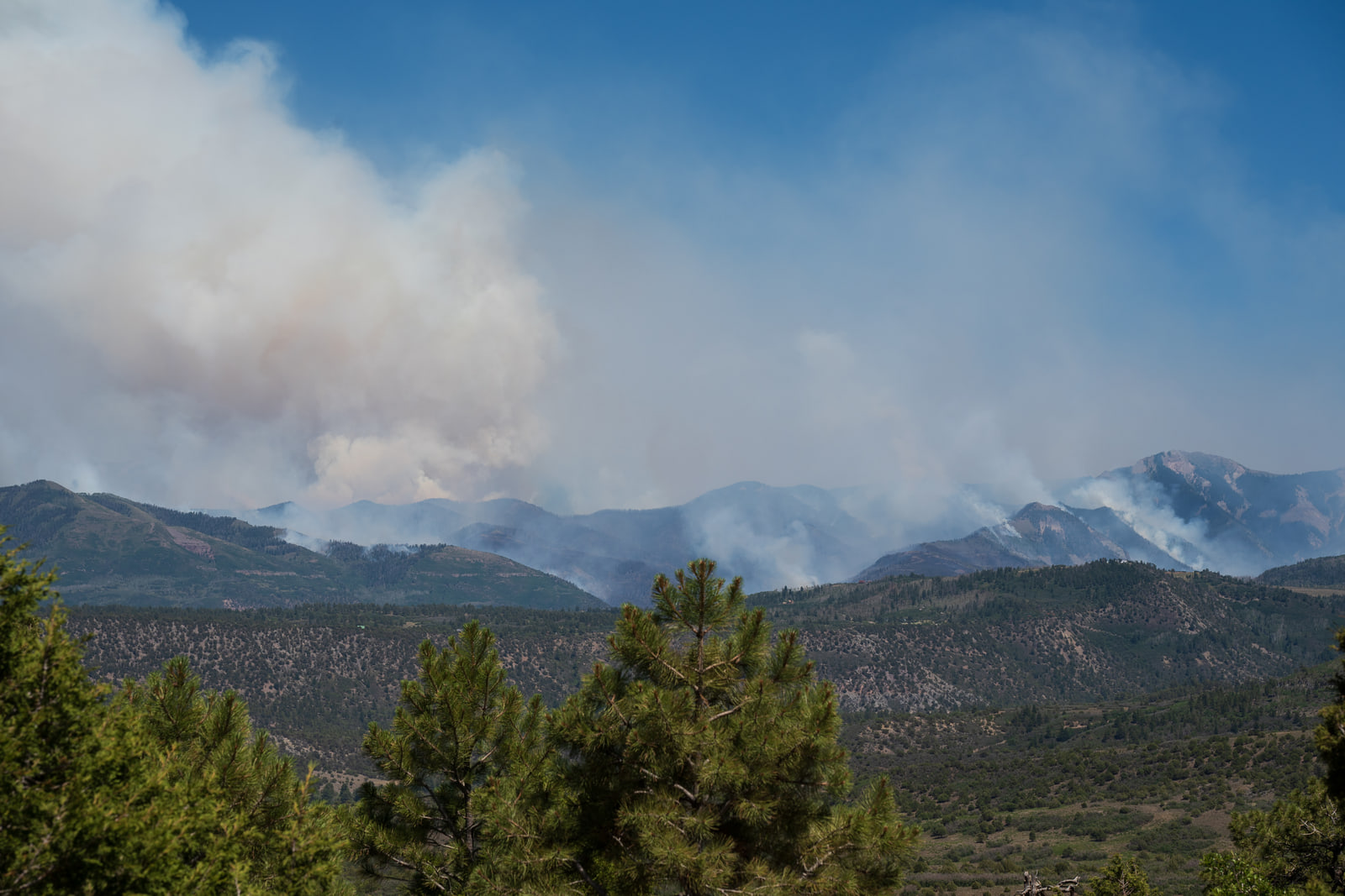A broad column of wildfire smoke rises behind layered mountain ridges seen over dark pine trees.