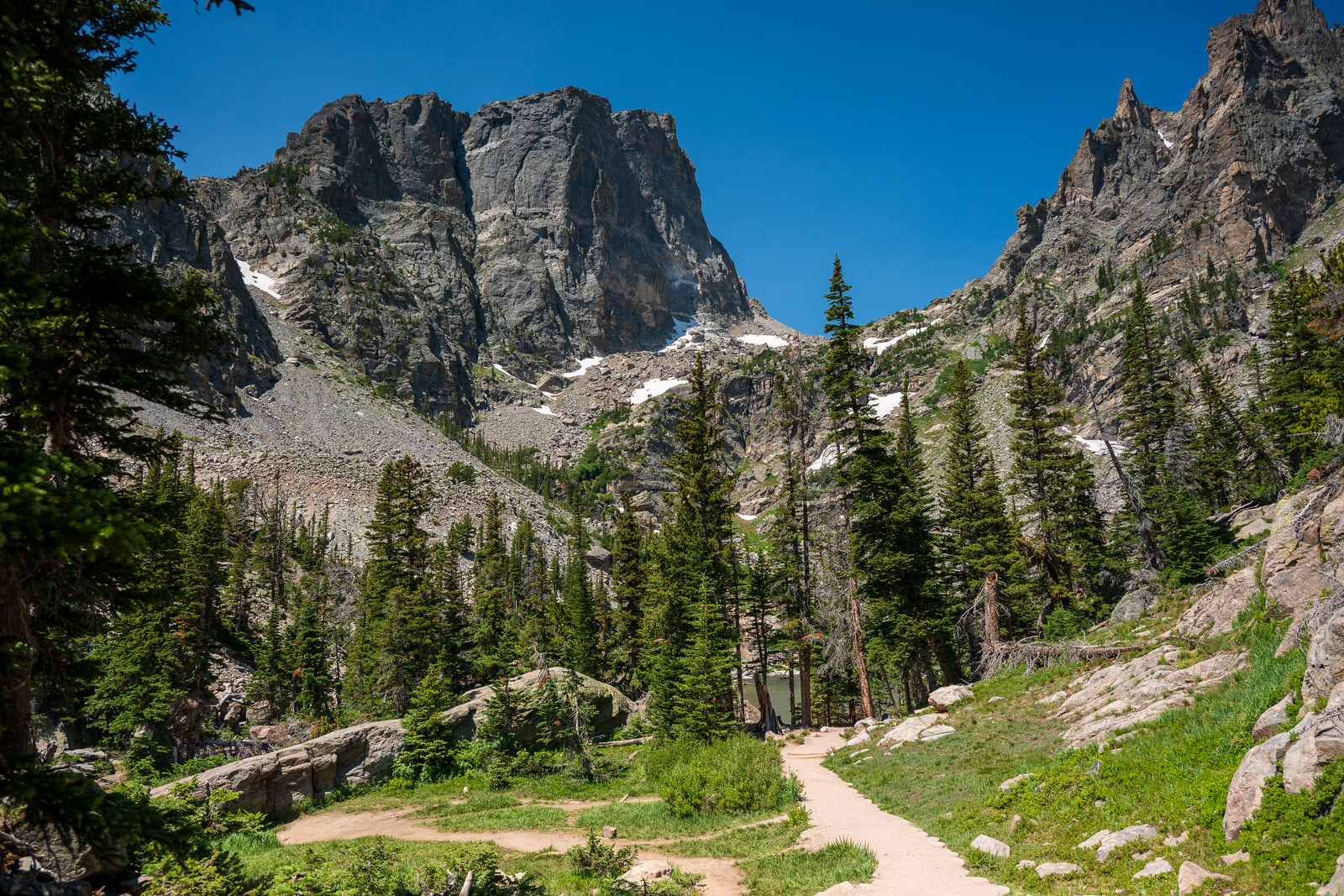 A pale dirt hiking trail curves through spruce toward a broad grey cliff wall under deep blue sky.