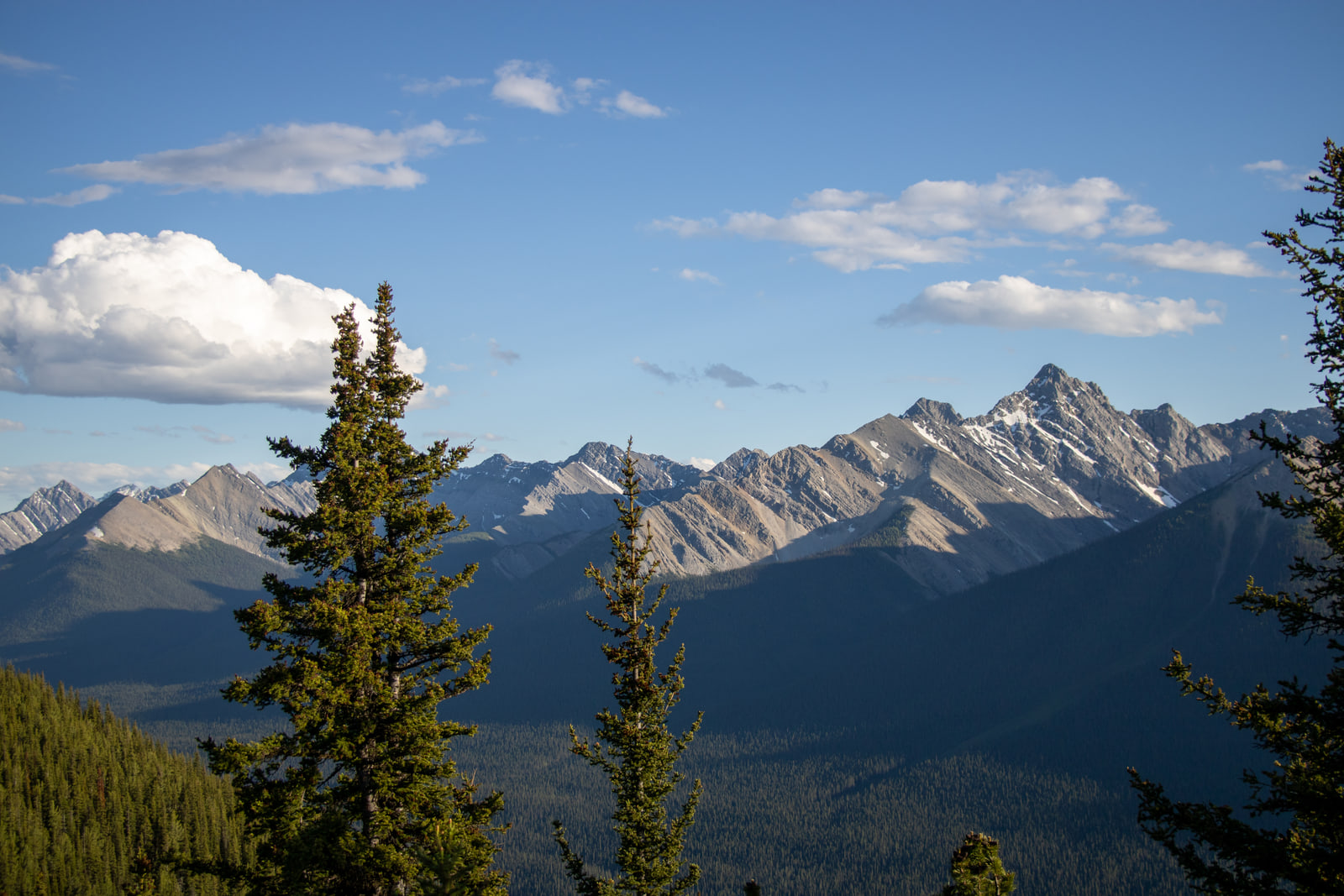 A jagged row of grey mountain peaks under deep blue sky, viewed past the tops of two tall evergreen trees.