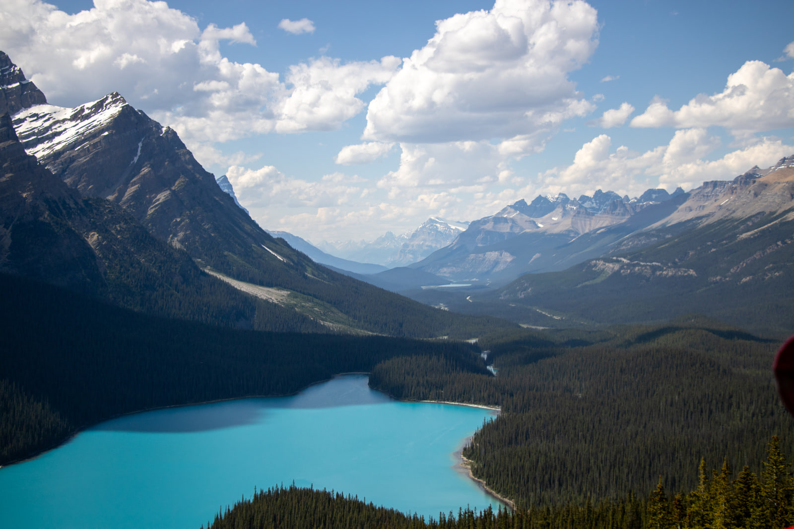 The turquoise water of Peyto Lake set in a dark spruce valley, with layered Rocky Mountain ridges fading into the distance under towering white clouds.